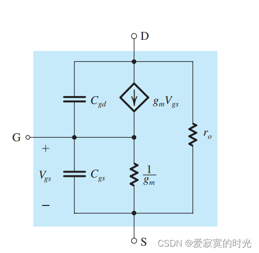 T模型