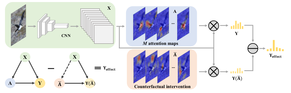 Counterfactual Attention Learning for Fine-Grained Visual Categorization and Re-identification 论文学习