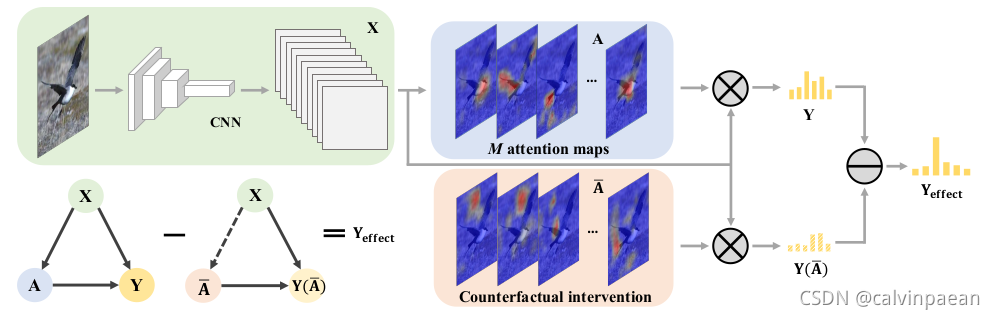 Counterfactual Attention Learning for Fine-Grained Visual Categorization and Re-identification 论文学习