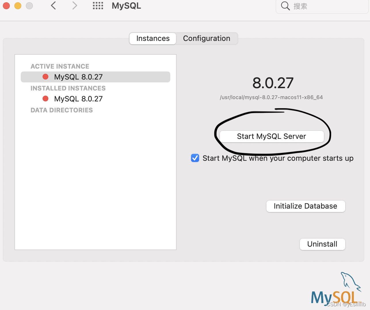 点击start mysql server