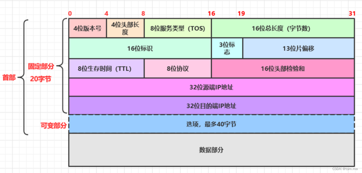 IP 协议