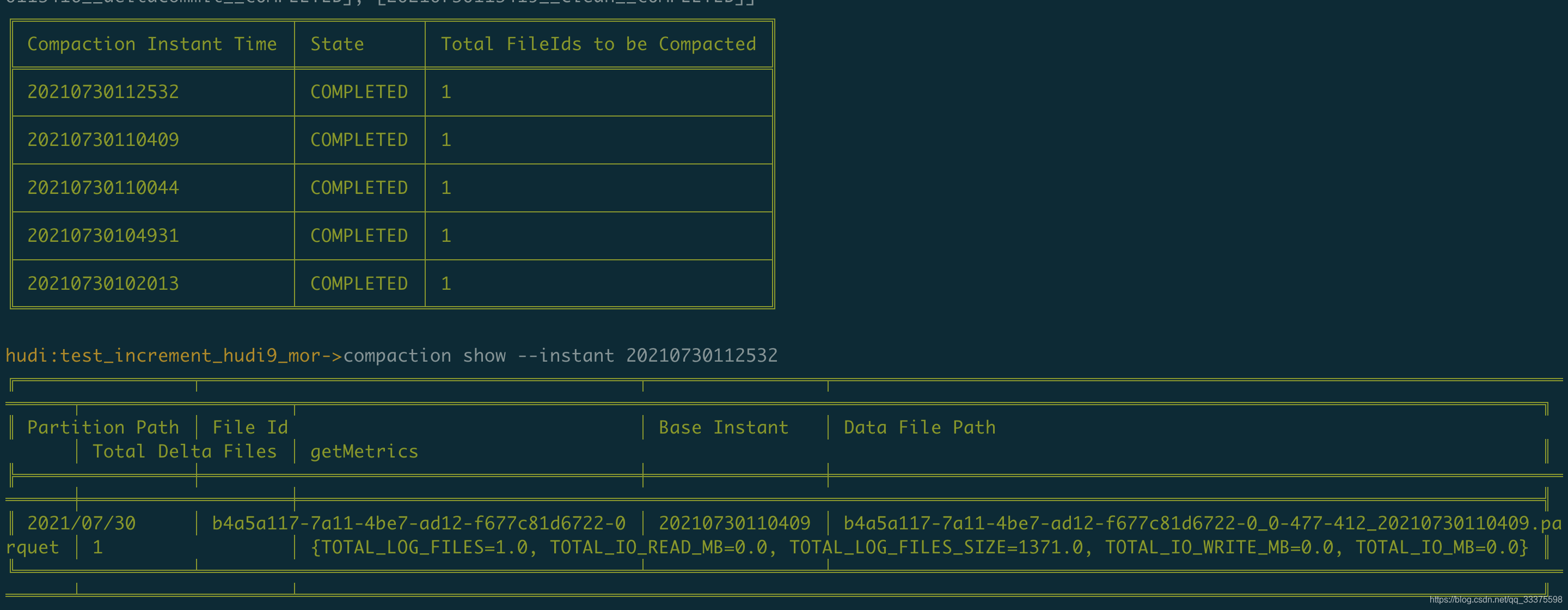 查询campaction的情况