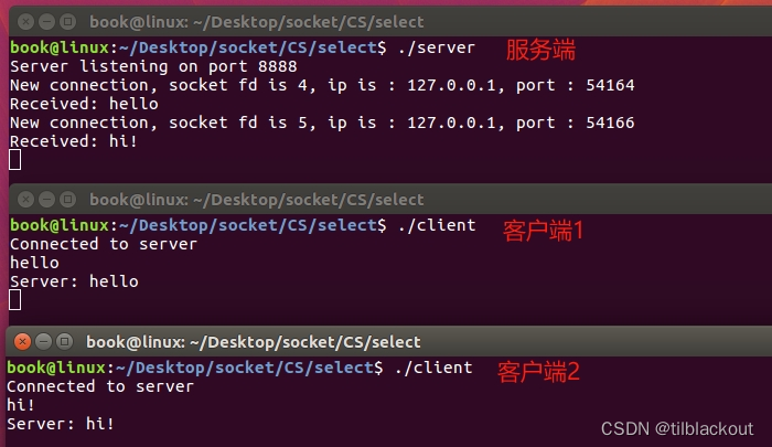 Linux socket编程(6):IO复用之select原理及例子