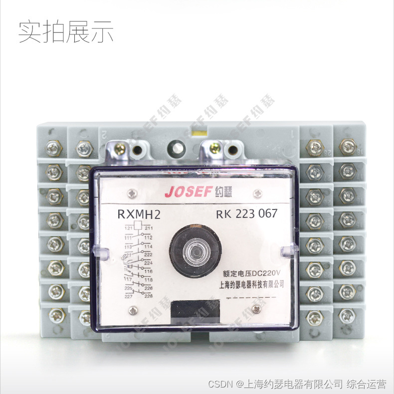 大容量中间继电器 RXMH2 RK223 067 DC110V JOSEF约瑟