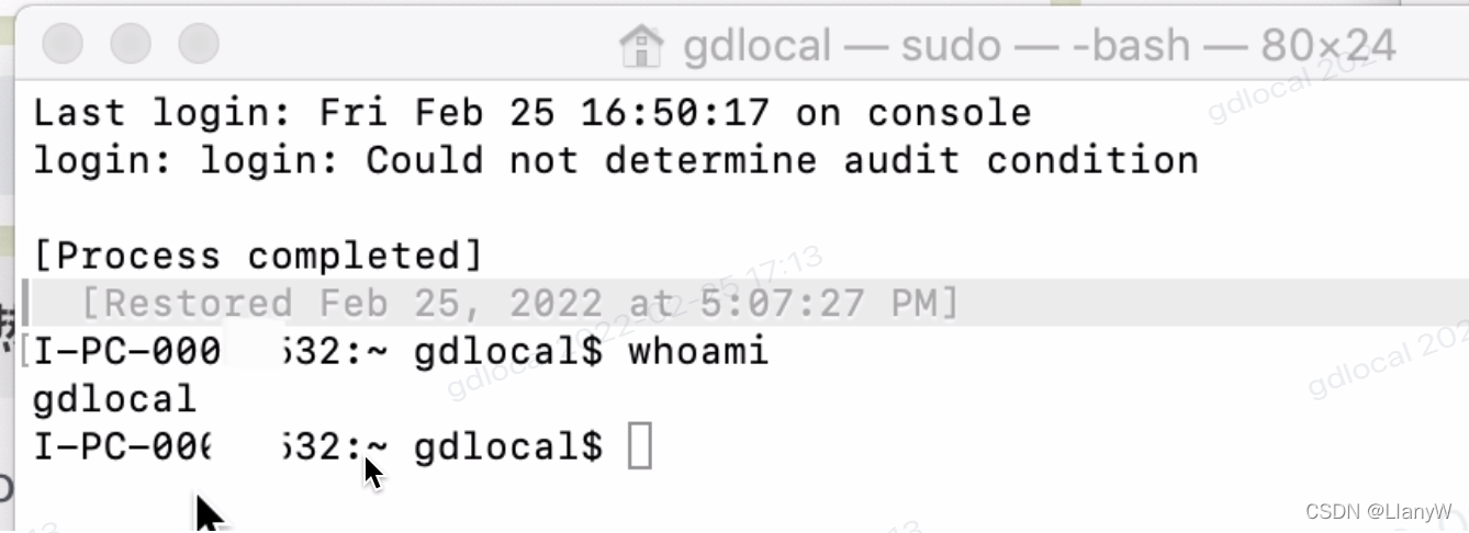 Macos root 登录之后还是Could not determine audit condition