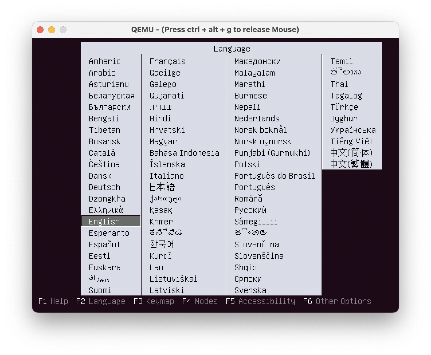 The first startup interface (select language)