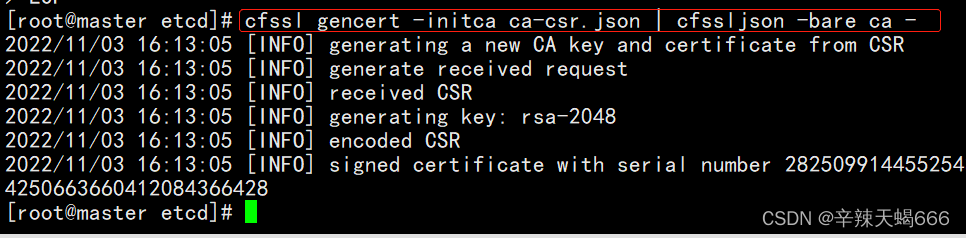 [云原生k8s] k8s的CA证书创建和使用_kubernetes1.24 ca access token 创建-CSDN博客