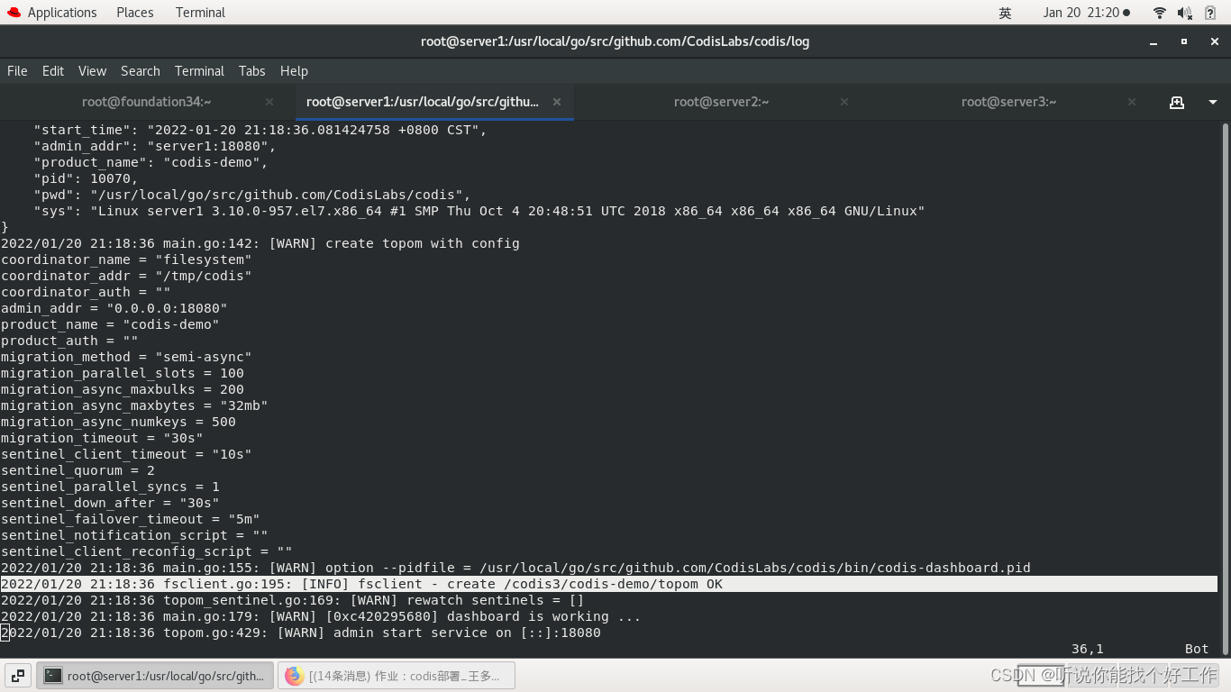 企业运维——Codis部署_codis启动-CSDN博客