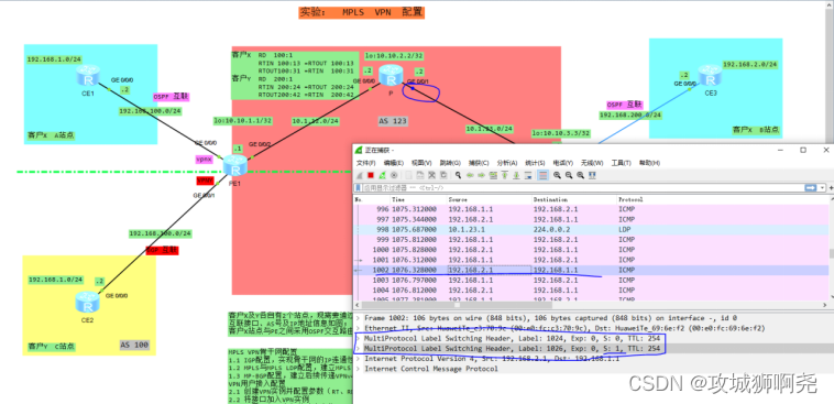 MPLS VPN 配置