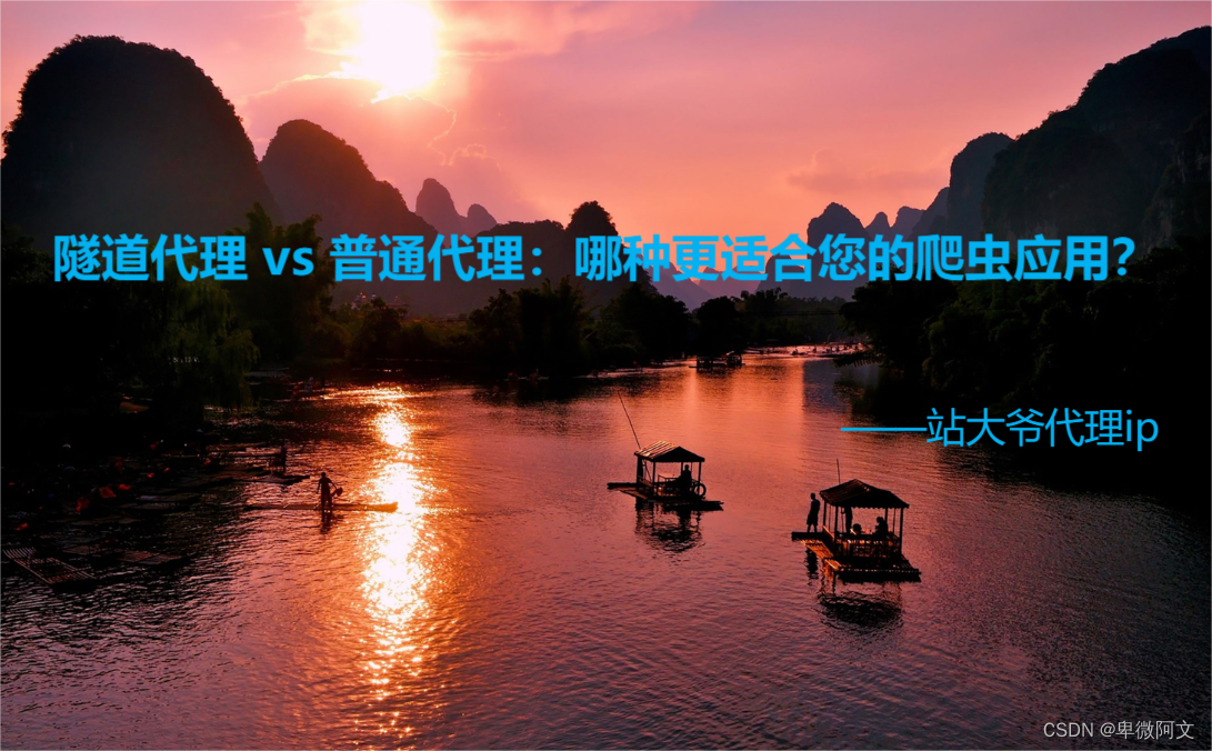 隧道代理 vs 普通代理：哪种更适合您的爬虫应用？