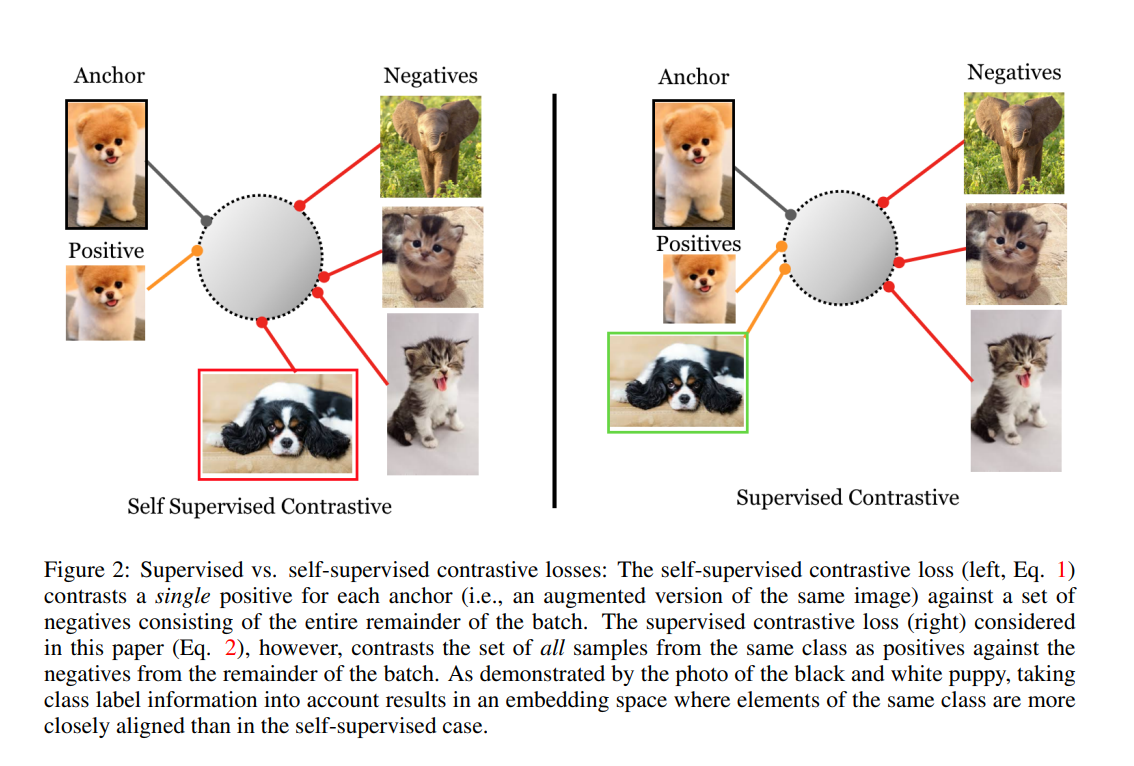 supervised contrastive learning 解读