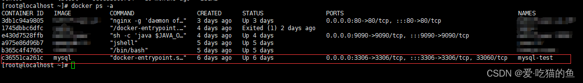 成功启动mysql