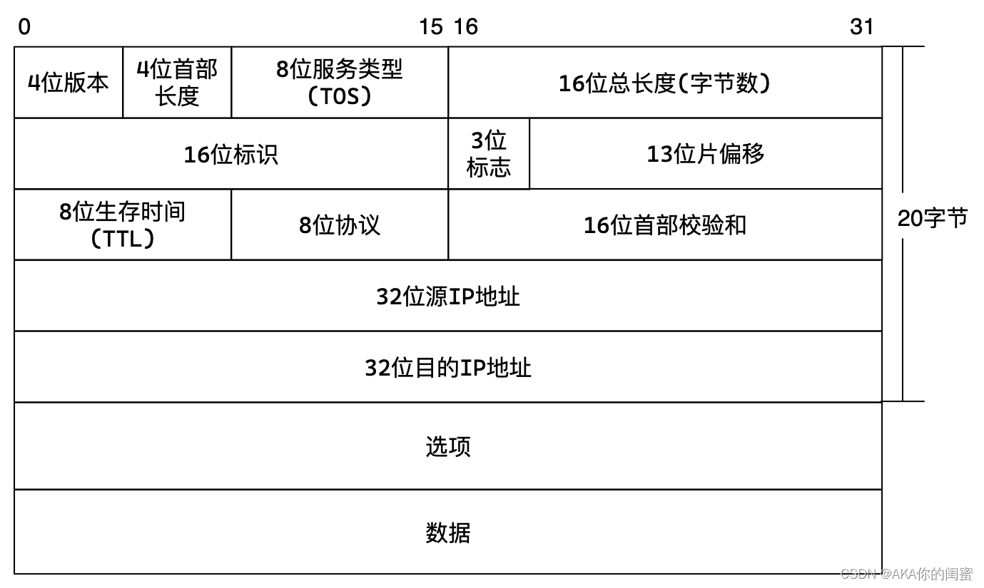 Linux网络：网络层IP协议 链路层MAC协议