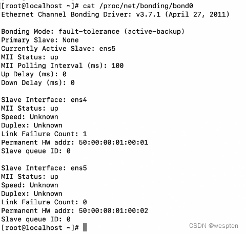 Linux虚拟化网络之链路聚合