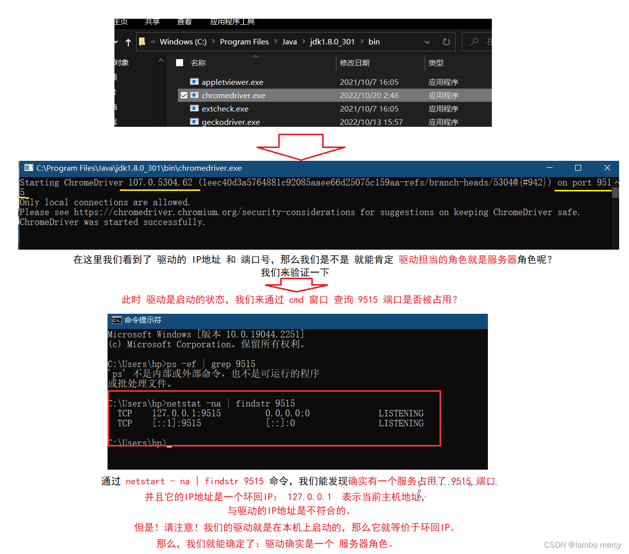 selenium （自动化概念  测试环境配置）