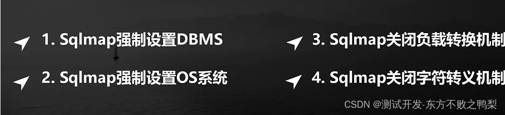 渗透测试工具-sqlmap