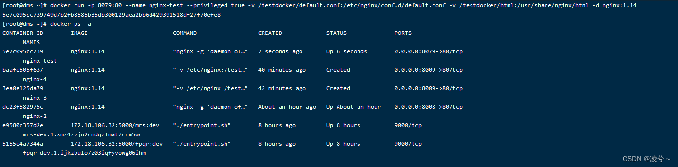 docker目录映射