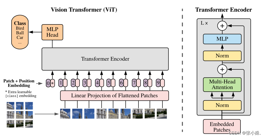 Vision Transformer