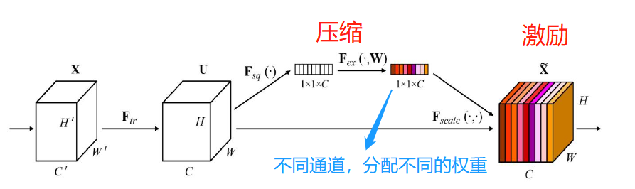 视觉 注意力机制——通道注意力、空间注意力、自注意力