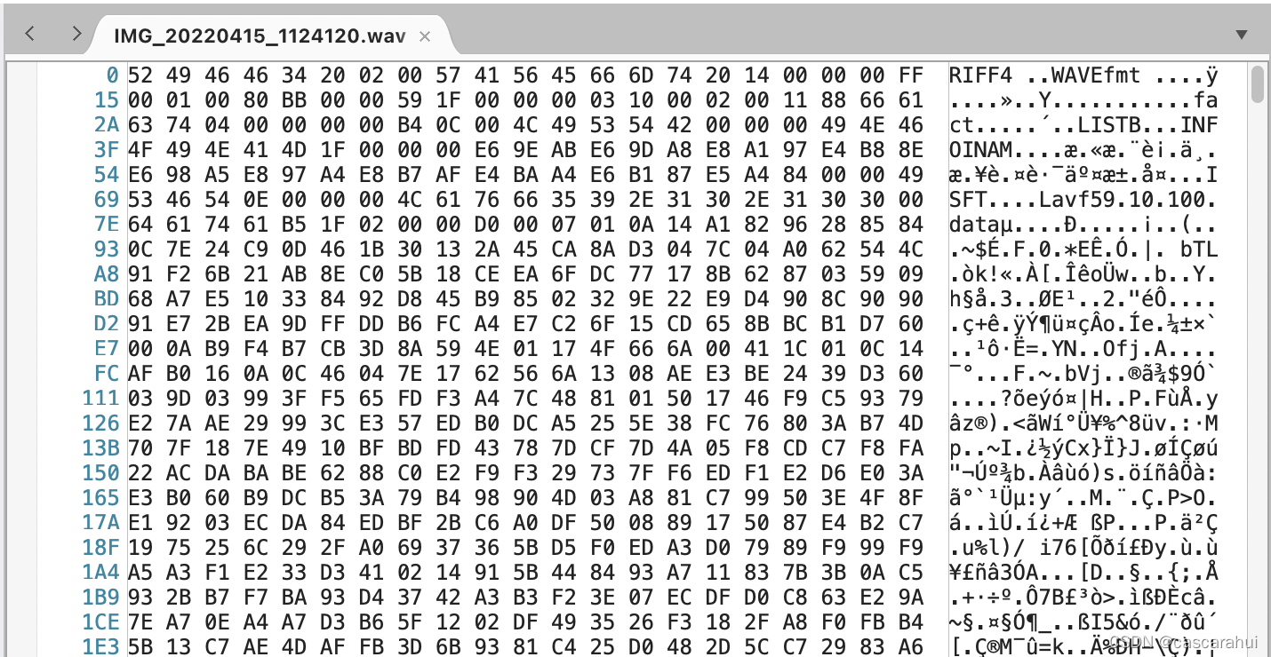 「数据压缩03」WAV及AVI的文件格式分析_wvavi-CSDN博客