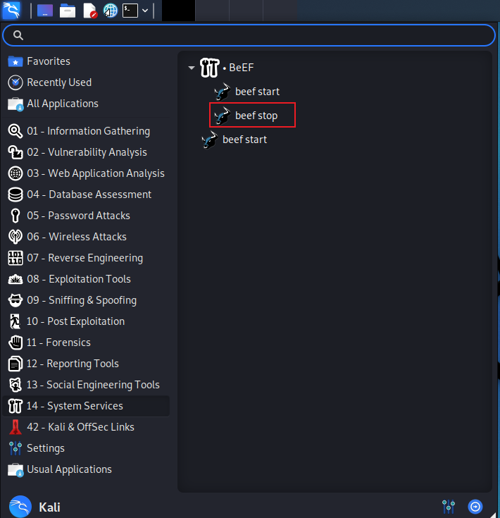 beefxss安装与使用CSDN博客