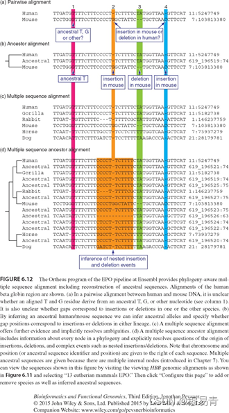 2023.11.13【读书笔记】丨生物信息学与功能基因组学（第六章 多重序列比对 下）