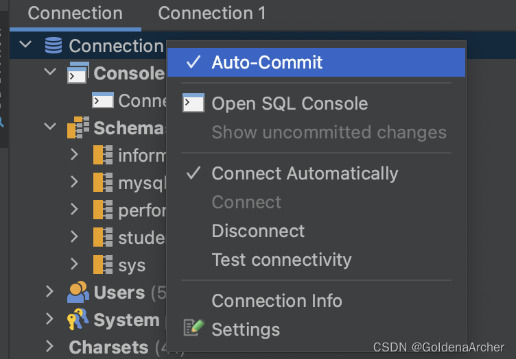 VSCode  Intellij IDEA CE 数据库连接