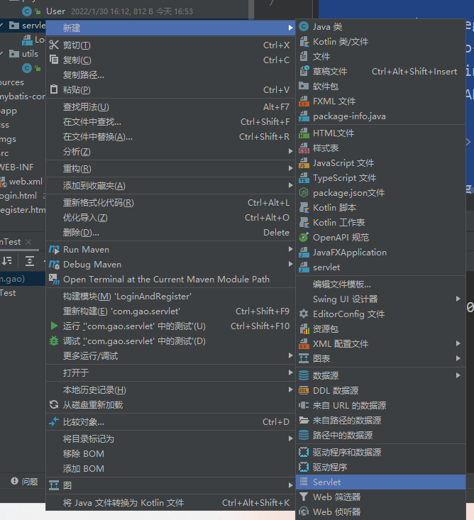 Java实现基础登入页面_maven项目登录页面在哪里设置-CSDN博客