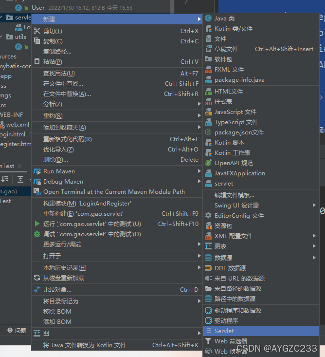 Java实现基础登入页面_maven项目登录页面在哪里设置-CSDN博客