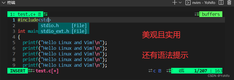 精装版vim