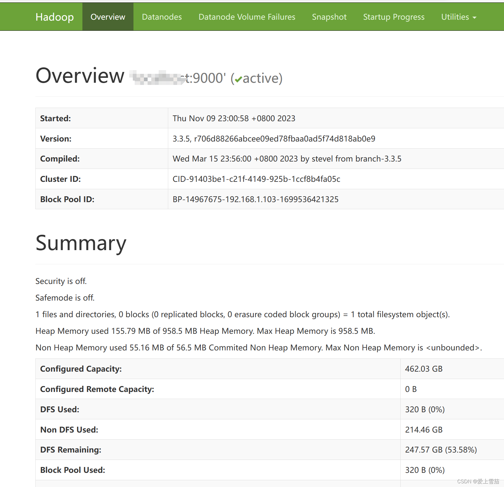 在linux安装单机版hadoop-3.3.6