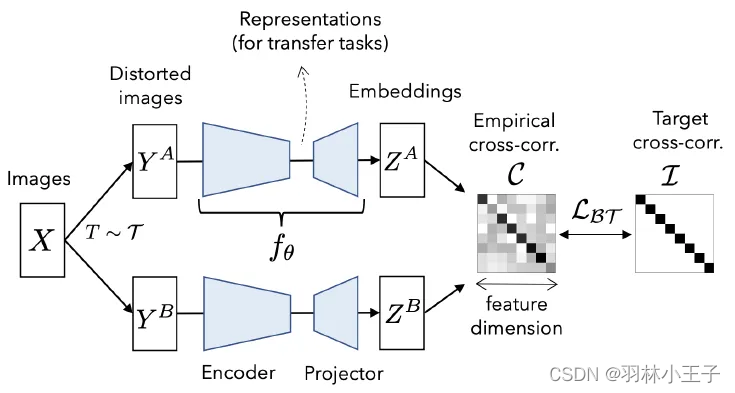 计算机视觉 + Self-Supervised Learning 五种算法原理解析