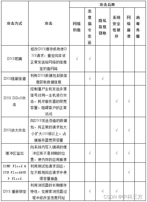 表1 DNS 攻击分析