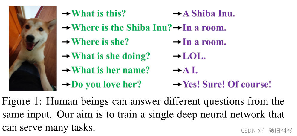 人类可以从相同的输入中回答不同的问题。我们的目标是训练一个单一的深度神经网络来完成许多任务。