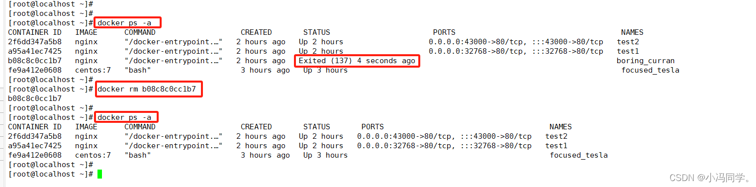 虚拟化、容器与Docker基本介绍以及安装部署（Docker 基本管理）