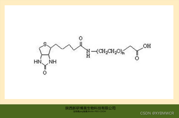 供应Biotin-PEG-acid，Biotin-PEG-COOH，生物素-聚乙二醇-羧基