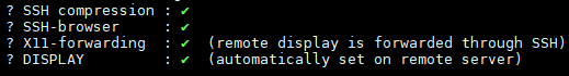 linux CentOS MobaXterm <span style='color:red;'>通过</span><span style='color:red;'>X</span><span style='color:red;'>11</span> Forwarding 在本地开启图形<span style='color:red;'>可</span><span style='color:red;'>视</span><span style='color:red;'>化</span>窗口