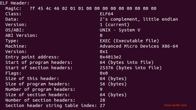 Details of an ELF binary