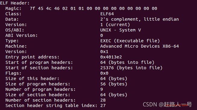 Details of an ELF binary