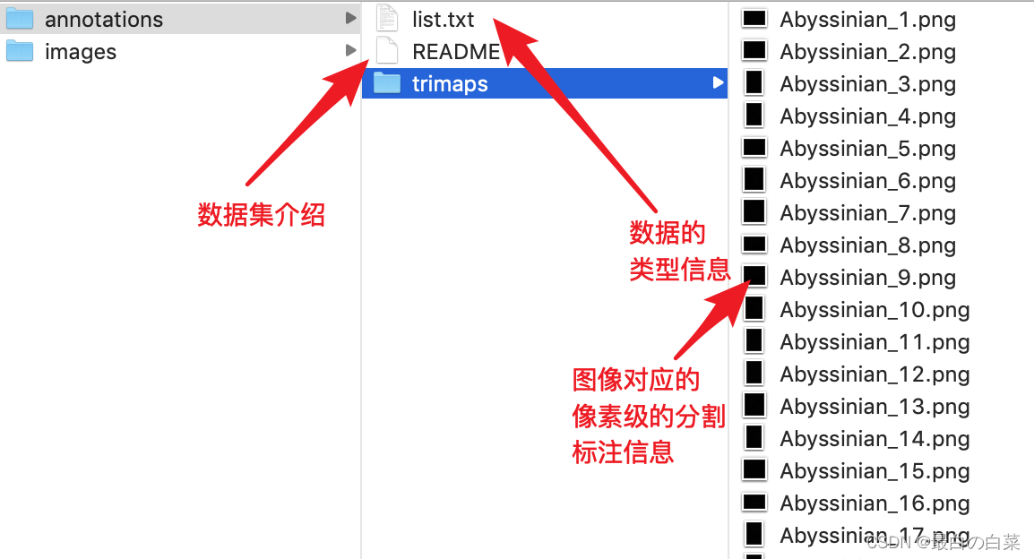 [外链图片转存失败,源站可能有防盗链机制,建议将图片保存下来直接上传(img-iKB0ZtMB-1646549912729)(笔记图片/image-20201012114111498.png)]