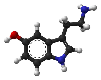 セロトニン分子は単純な無向グラフの例です