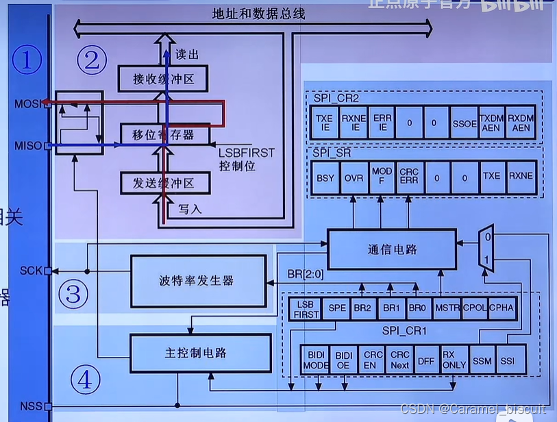 ここに画像の説明を挿入