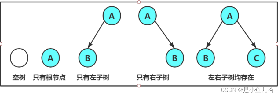 《Java数据结构》这些树和二叉树的性质你还记得吗？