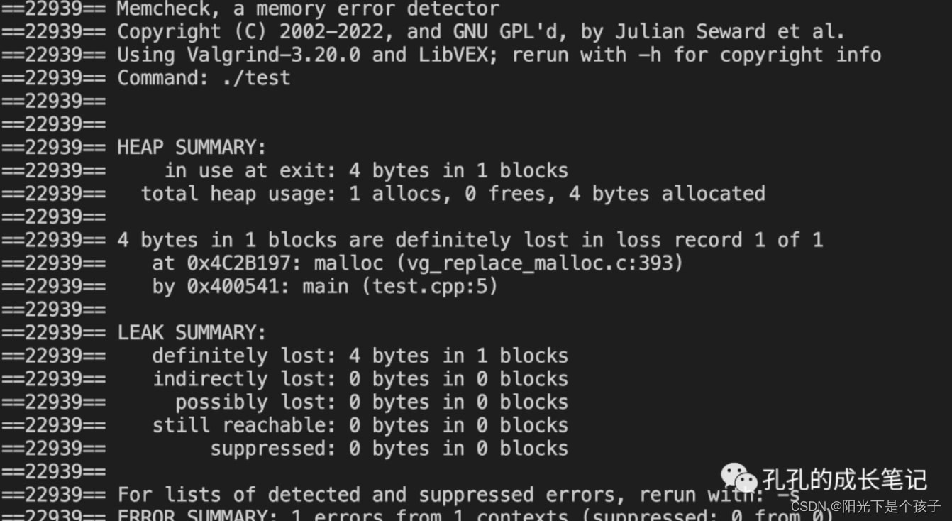 C++内存泄露排查的一个案例