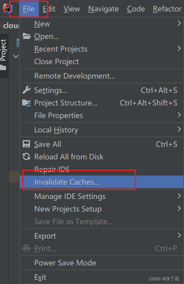 IntelliJ IDEA Services工具栏运行不显示端口问题解决