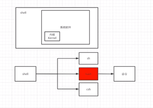 Linux Shell 脚本 变量 橙子 C的博客 Csdn博客 Linux 脚本变量 Linux Shell 脚本 变量 橙子 C的博客 Csdn博客 Linux 脚本变量