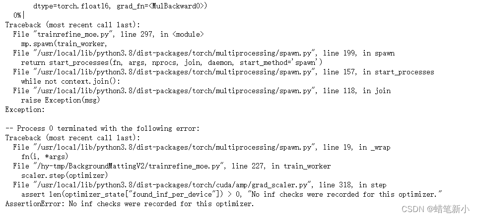 bug解决：AssertionError: No inf checks were recorded for this optimizer.