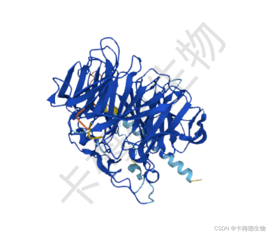 人绒毛膜促性腺激素（HCG）介绍