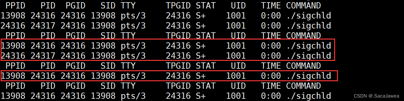 Linux | 可重入函数 | volatile | SIGCHLD信号