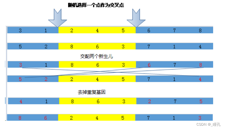 搜索技术——遗传算法